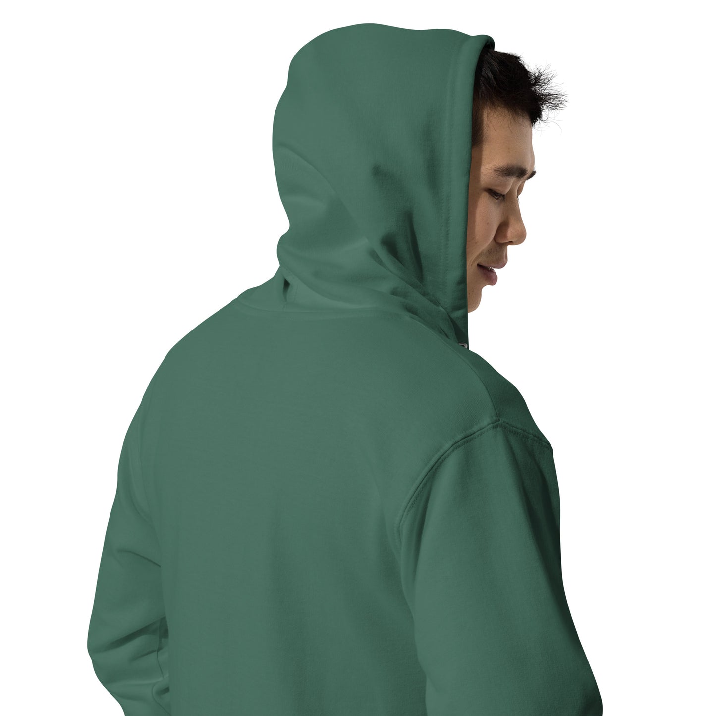Alpine Green Yukon Boys Zip Hoodie, right back view